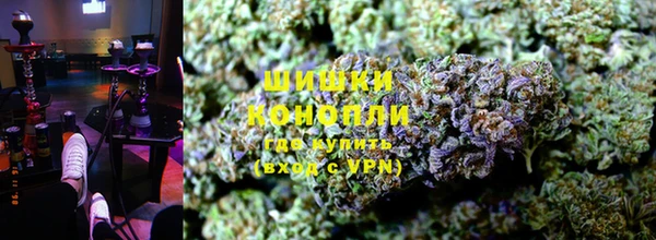 прущая мука Нея