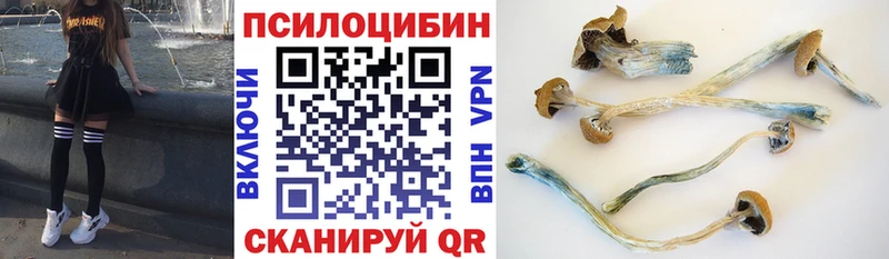 где продают   ОМГ ОМГ сайт  Галлюциногенные грибы Magic Shrooms  Рославль 