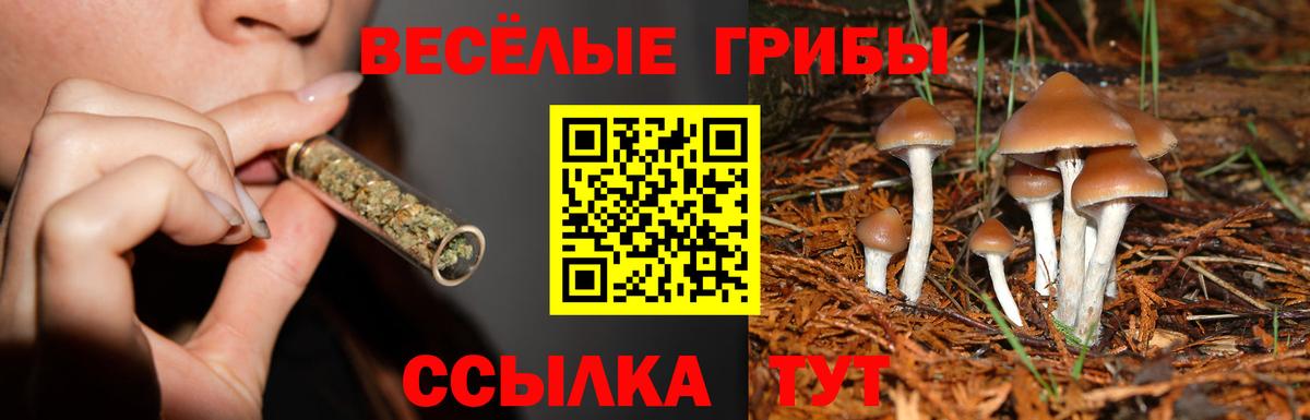 Рославль  Псилоцибиновые грибы MAGIC MUSHROOMS  Вход с VPN 